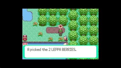 pokemmo leppa berry  This is where the Trainers who have defeated all of the eight Gym Leaders of Johto battle against the Elite Four and the Pokémon Champion